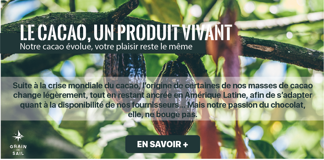 Carrousel changement goût masse cacao