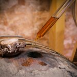 Rhum Transatlantique 2025 GDS ADR Tonneau
